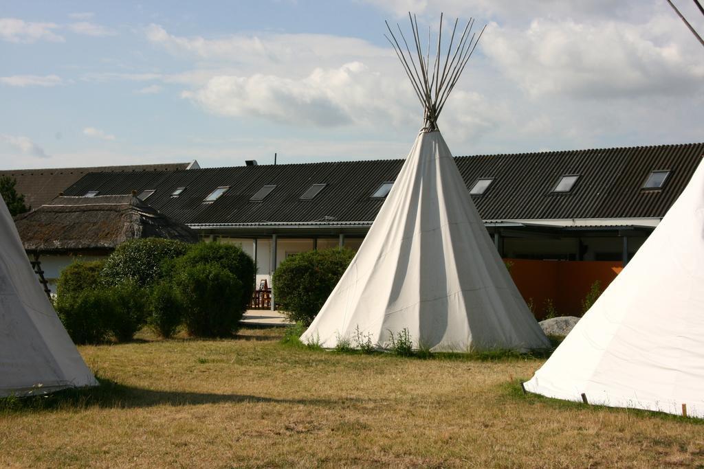 Storchencamp Gaestehaus Purbach Purbach am Neusiedlersee Exterior foto